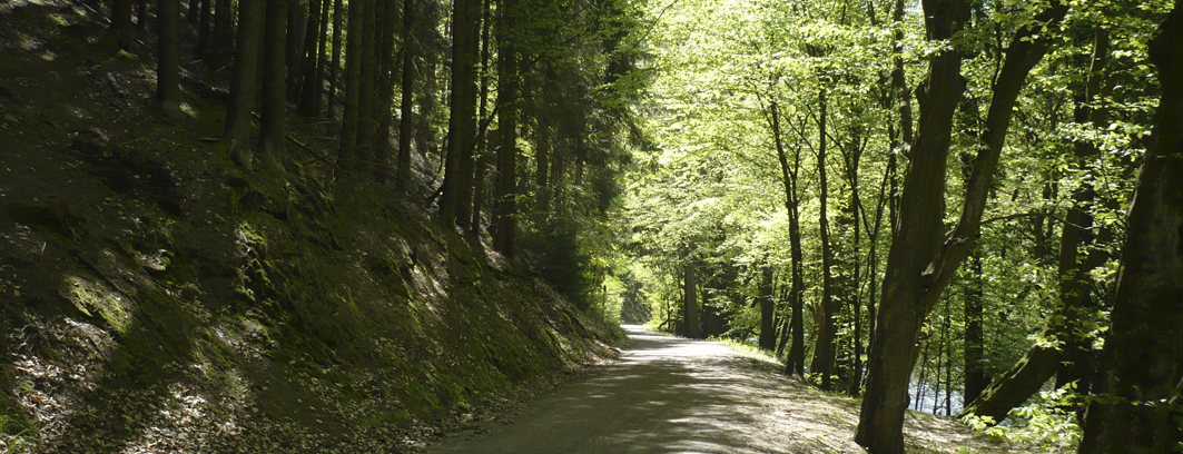 Segway-Tour Schwarzatal
