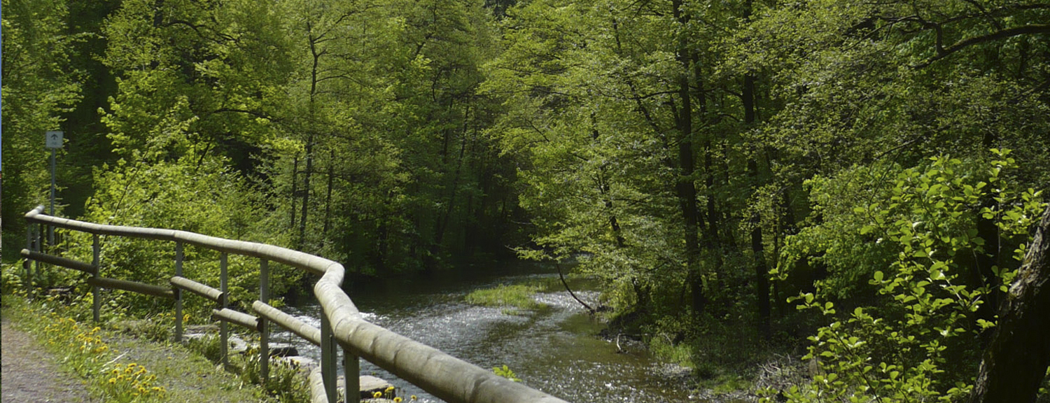 Wanderung auf dem Klosterweg - Zweiter Teil