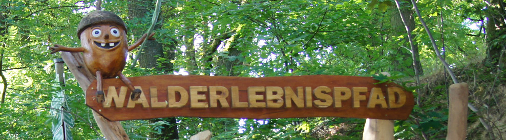 Fledermaus-Nacht mit Wanderung im Stadtwald