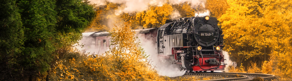 Feen-Wander-Express
