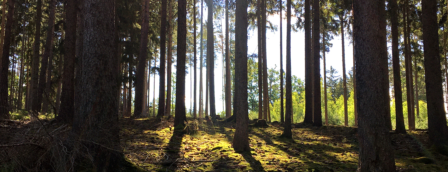 Gipfelsturm zu den drei Gartenkuppen