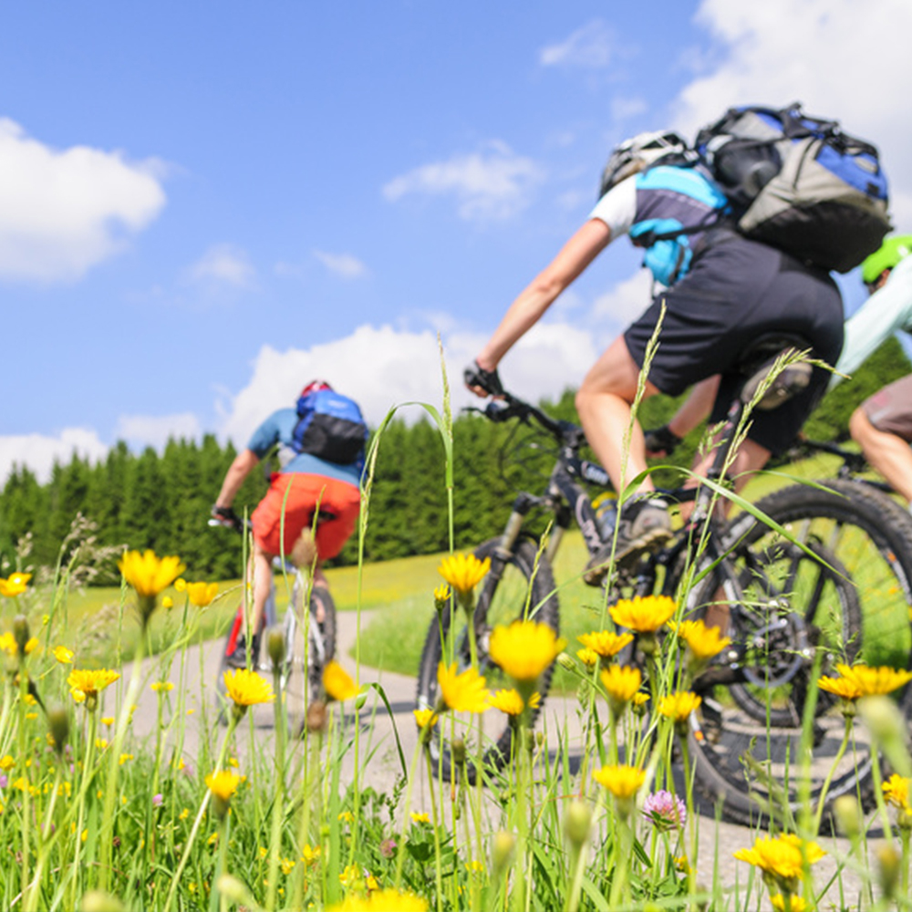 Mountainbiking