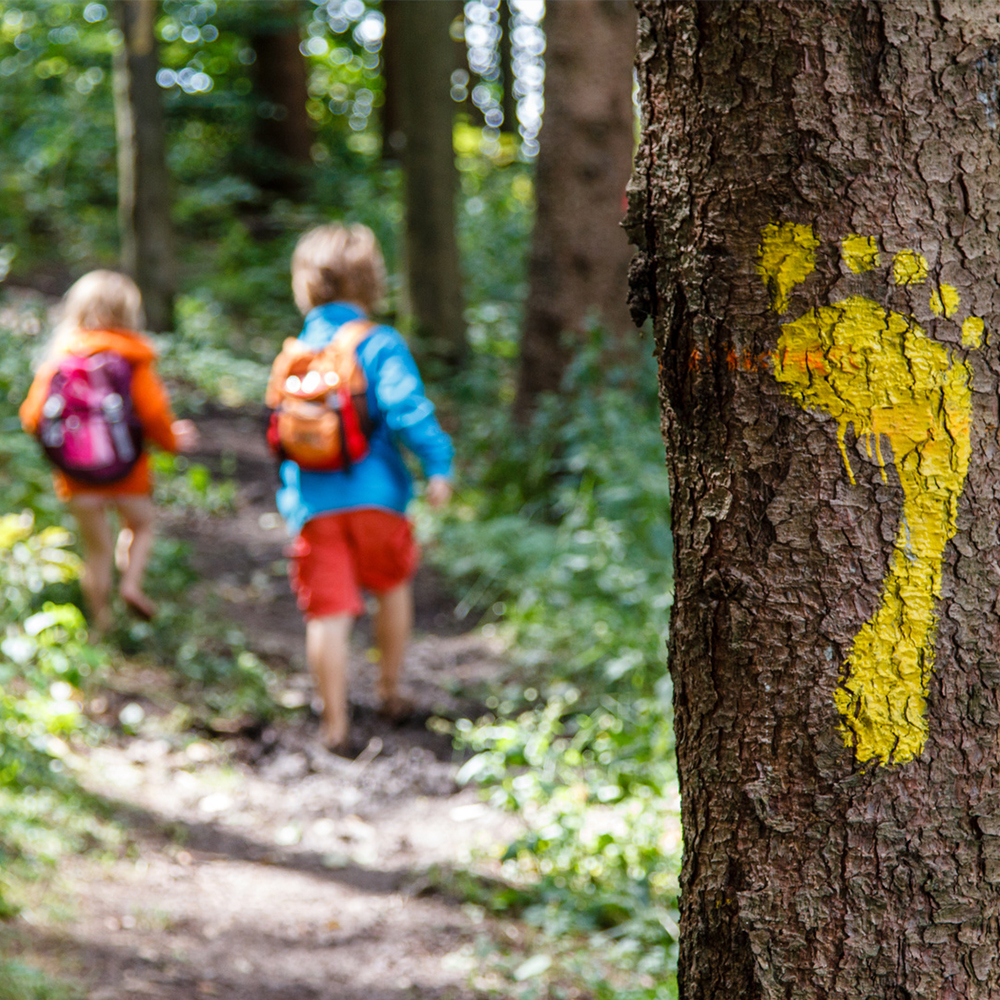 Wandern mit Kindern