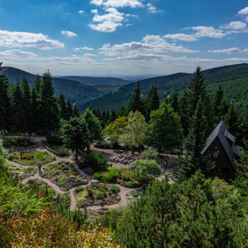 Rennsteiggarten Oberhof